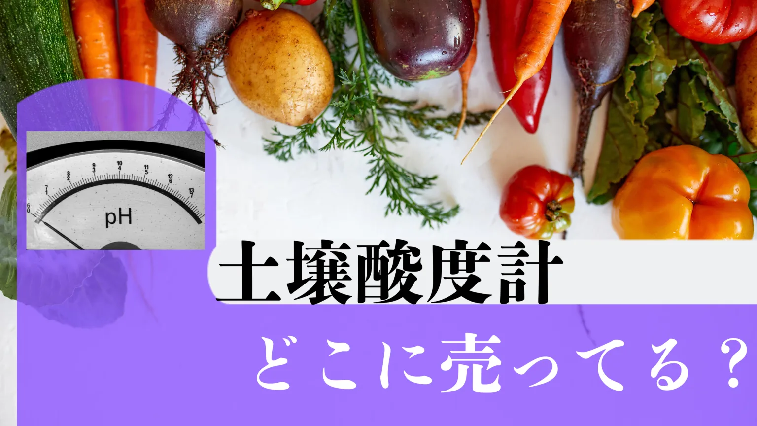 土壌酸度計はダイソーにある？他の購入方法も
